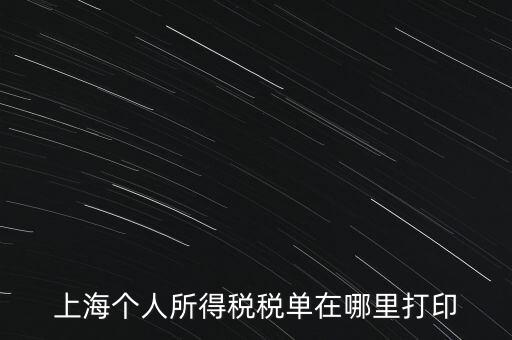 上海個人所得稅稅單在哪里打印