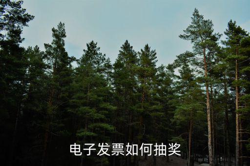 發(fā)票如何登記抽獎，發(fā)票怎么抽獎