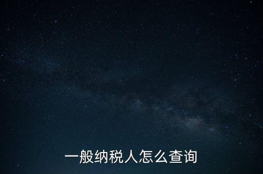 一般納稅人怎么查詢