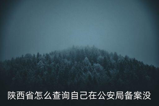 陜西省怎么查詢自己在公安局備案沒