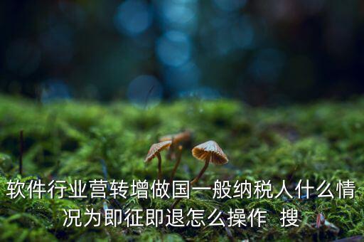 即征即退政策如何辦理，軟件行業(yè)營轉(zhuǎn)增做國一般納稅人什么情況為即征即退怎么操作  搜