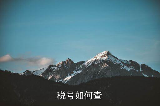 稅號(hào)如何查