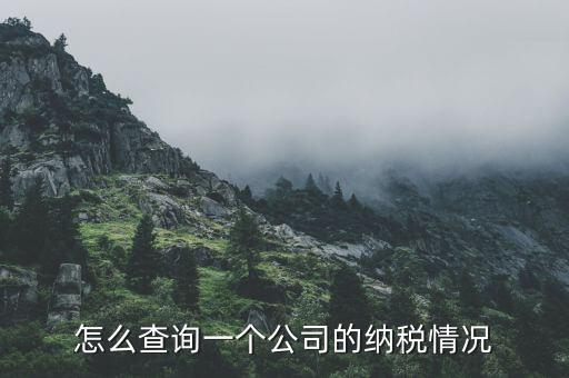 怎么查詢一個(gè)公司的納稅情況