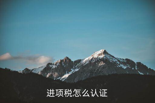 進(jìn)項稅怎么認(rèn)證