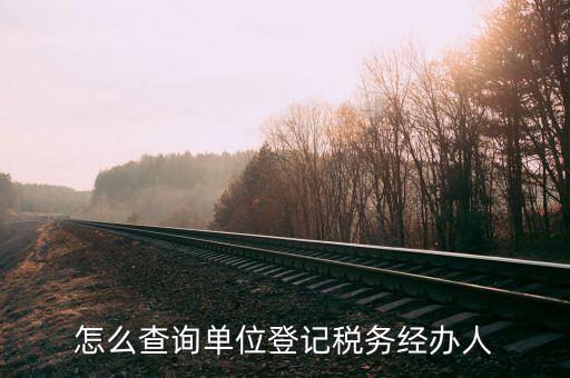 怎么查詢(xún)單位登記稅務(wù)經(jīng)辦人