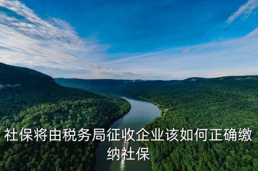 社保將由稅務(wù)局征收企業(yè)該如何正確繳納社保