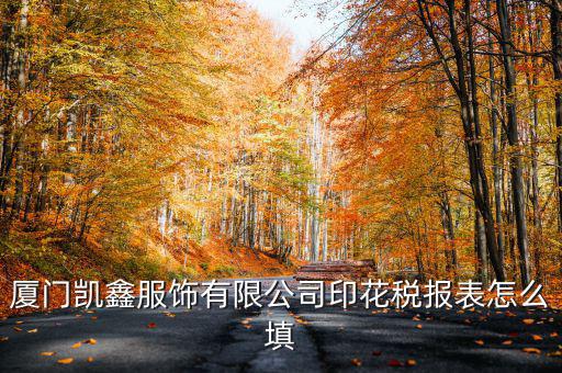 廈門凱鑫服飾有限公司印花稅報表怎么填