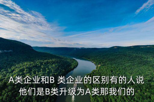 A類(lèi)企業(yè)和B 類(lèi)企業(yè)的區(qū)別有的人說(shuō)他們是B類(lèi)升級(jí)為A類(lèi)那我們的