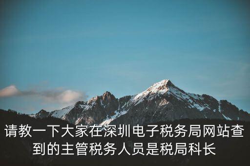 請教一下大家在深圳電子稅務局網站查到的主管稅務人員是稅局科長