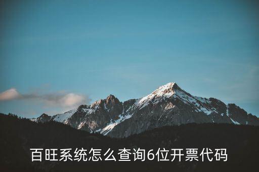 百旺系統(tǒng)怎么查詢(xún)6位開(kāi)票代碼