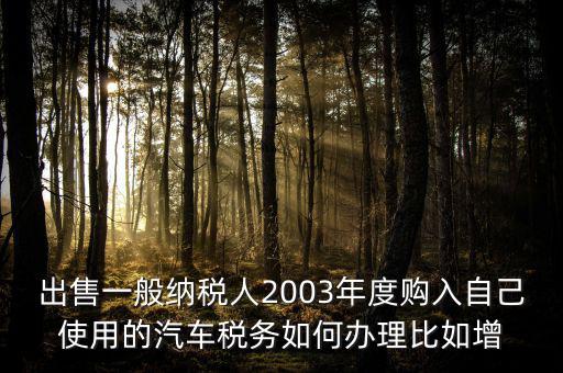 出售一般納稅人2003年度購入自己使用的汽車稅務(wù)如何辦理比如增