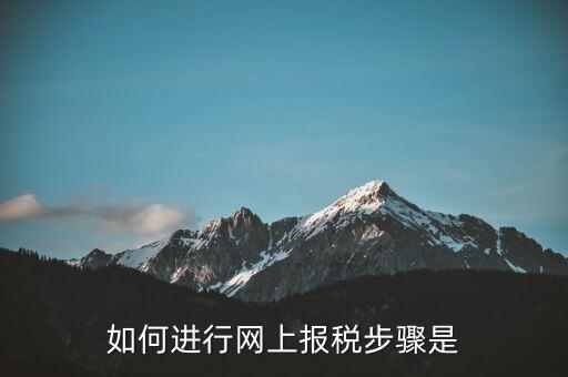 如何推行網(wǎng)上辦稅，如何辦理網(wǎng)上納稅