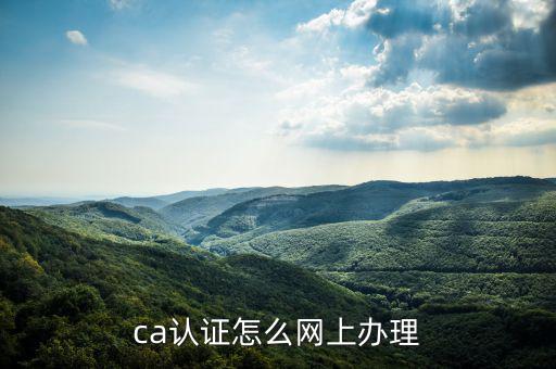 四川網(wǎng)上稅務如何ca登錄，ca證書如何登錄國稅