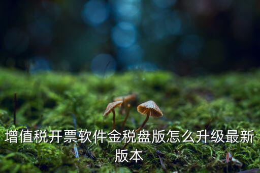 增值稅開票軟件金稅盤版怎么升級最新版本