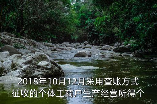 2018年10月12月采用查賬方式征收的個體工商戶生產(chǎn)經(jīng)營所得個