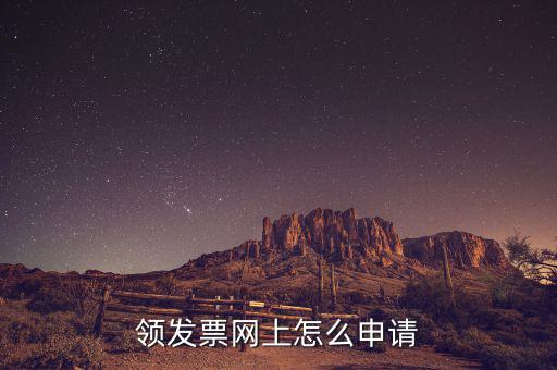 領(lǐng)發(fā)票網(wǎng)上怎么申請(qǐng)