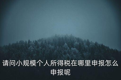 如何申報自然人兩處所得，請問小規(guī)模個人所得稅在哪里申報怎么申報呢