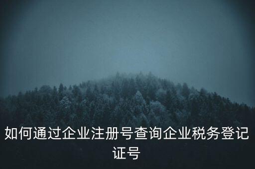 如何查詢公司稅務(wù)編號查詢系統(tǒng)，公司的稅務(wù)登記證號怎么查詢