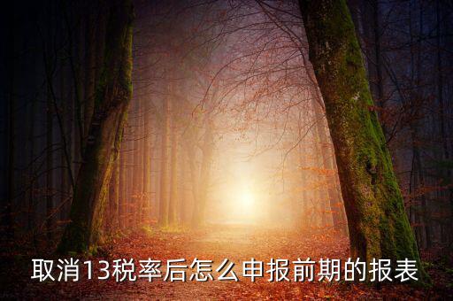 取消13稅率申報(bào)表如何填，13的稅率沒了納稅申報(bào)以后怎么辦