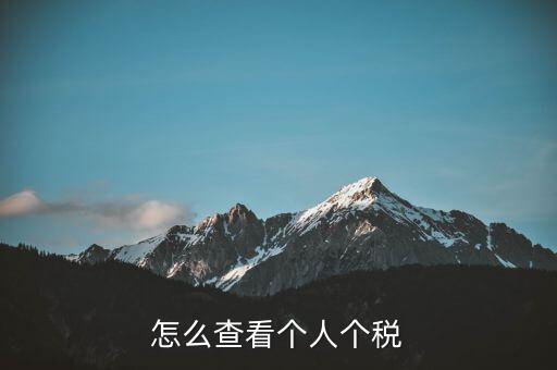 怎么查看個(gè)人個(gè)稅