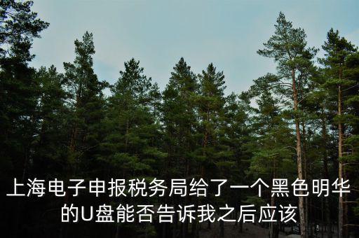 上海電子申報稅務(wù)局給了一個黑色明華的U盤能否告訴我之后應(yīng)該