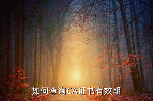 地稅ca如何查詢有效期，從哪里查地稅CA證書過期沒