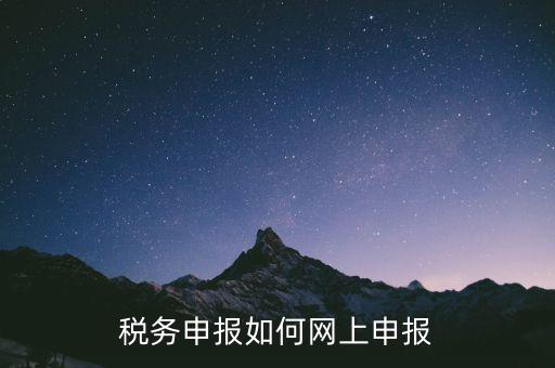 網(wǎng)上系統(tǒng)如何申報(bào)稅，稅務(wù)申報(bào)如何網(wǎng)上申報(bào)