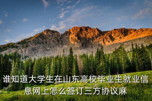 誰知道大學生在山東高校畢業(yè)生就業(yè)信息網(wǎng)上怎么簽訂三方協(xié)議麻