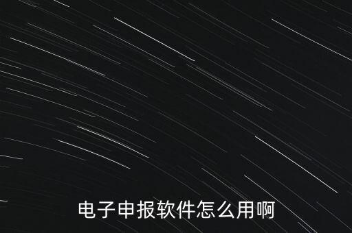 電子申報軟件怎么用啊