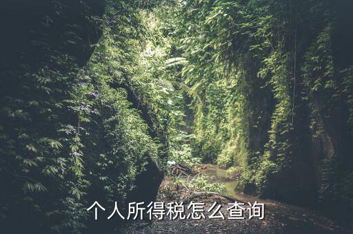 個人所得稅怎么查詢