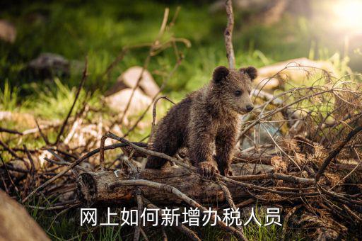 國稅如何增加辦稅人，電子稅務局如何添加辦稅人員