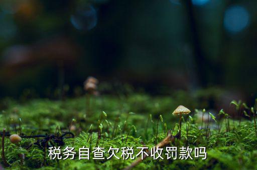 欠稅人員如何查詢，稅務(wù)自查欠稅不收罰款嗎