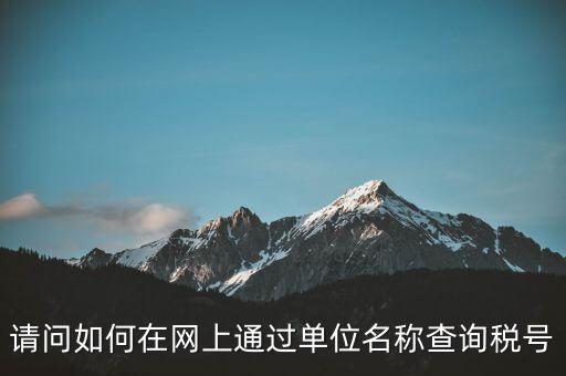 稅號如何查詢網(wǎng)站，怎么在網(wǎng)上查企業(yè)稅號