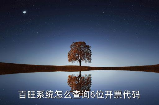 如何獲取開票代碼，增值稅專用發(fā)票開票時輸開票碼是怎么操作