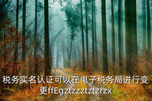 稅務(wù)實名認證可以在電子稅務(wù)局進行變更ffEgztzzztztzrzx