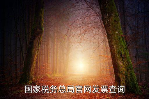 江蘇國(guó)稅如何查詢發(fā)票，江蘇發(fā)票真?zhèn)尾樵內(nèi)绾尾樵兘K發(fā)票真?zhèn)尾樵內(nèi)绾尾樵冏钪匾氖沁M(jìn)