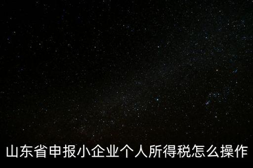 山東省申報小企業(yè)個人所得稅怎么操作