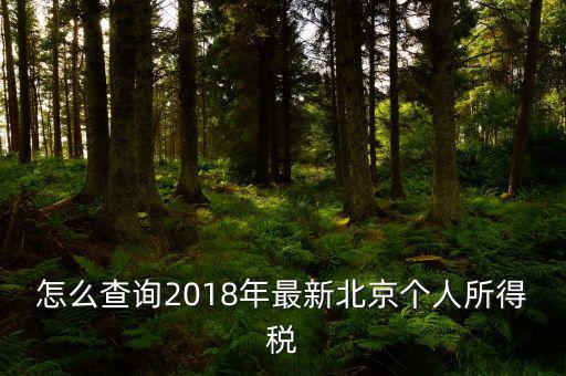 北京如何查詢個稅完稅證明，怎么查詢2018年最新北京個人所得稅