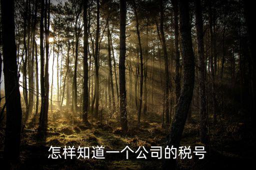 單位稅號(hào)如何查詢，知道公司名字怎么查稅號(hào)嗎