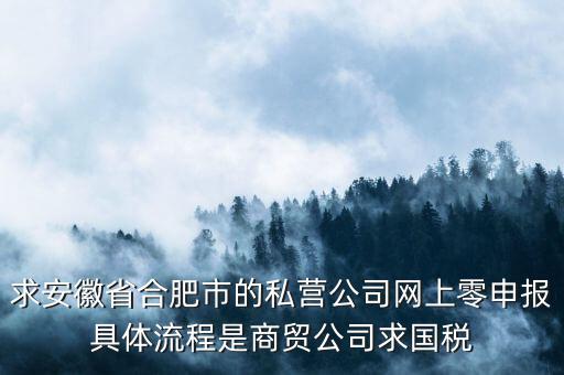 求安徽省合肥市的私營公司網(wǎng)上零申報具體流程是商貿(mào)公司求國稅