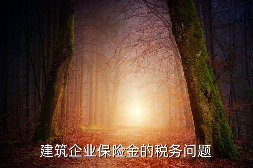 保險公司稅務(wù)管理如何處理，建筑企業(yè)保險金的稅務(wù)問題