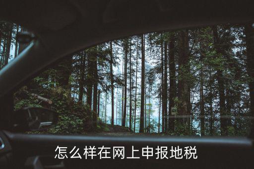 地稅網(wǎng)站如何注冊，地稅網(wǎng)上申報注冊怎么操作