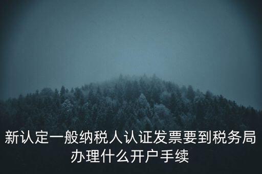 新認(rèn)定一般納稅人認(rèn)證發(fā)票要到稅務(wù)局辦理什么開戶手續(xù)