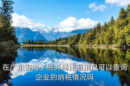 在廣東省電子稅務(wù)局注冊(cè)用戶可以查詢企業(yè)的納稅情況嗎