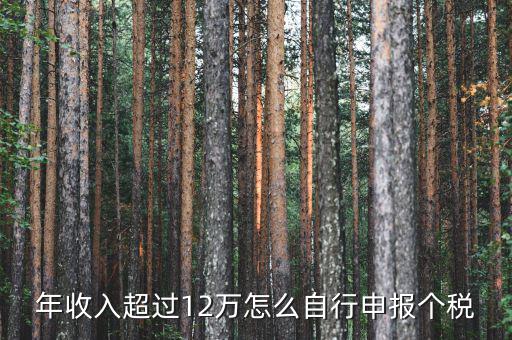 年收入超過12萬怎么自行申報(bào)個(gè)稅