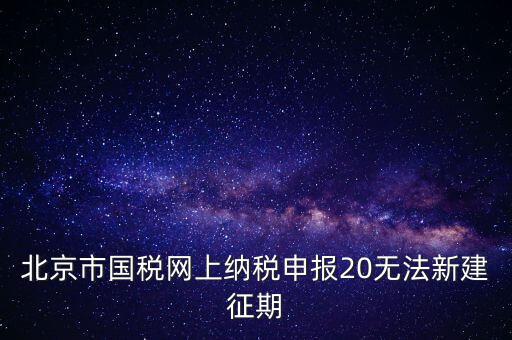 北京市國稅網(wǎng)上納稅申報(bào)20無法新建征期