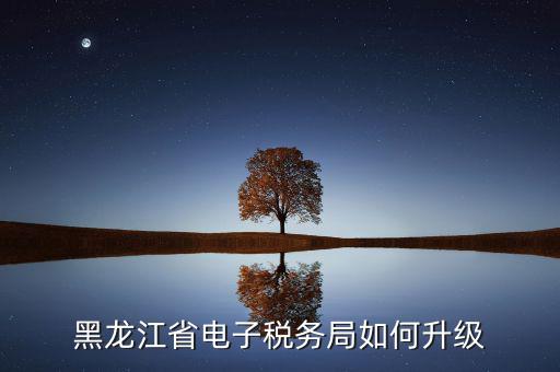 如何升級國稅系統(tǒng)，河南省電子稅務(wù)局版本過低怎么升級