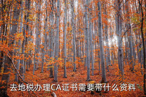 去地稅辦理CA證書(shū)需要帶什么資料