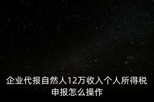 企業(yè)代報自然人12萬收入個人所得稅申報怎么操作