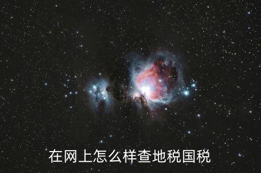 如何查國(guó)地稅是否正常，在網(wǎng)上怎么樣查地稅國(guó)稅